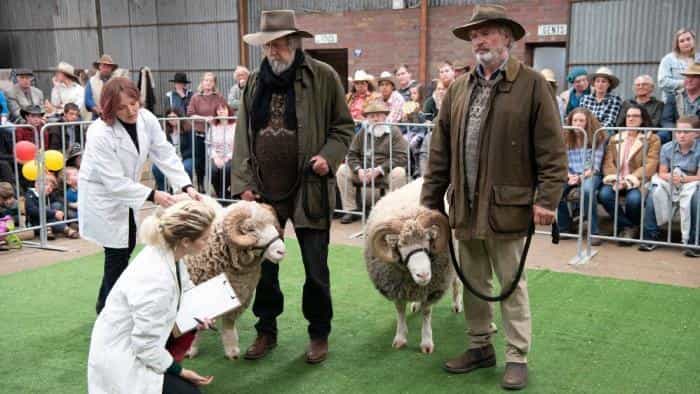 تماشای فیلم قوچ محصول سال 2020 | چی‌بینو