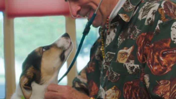 نقد و بررسی فیلم مستند سگ دکتر محصول سال 2019 | چی‌بینو