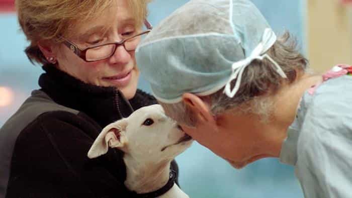 نقد و بررسی فیلم مستند سگ دکتر محصول سال 2019 | چی‌بینو