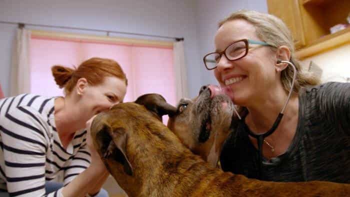 نقد و بررسی فیلم مستند سگ دکتر محصول سال 2019 | چی‌بینو