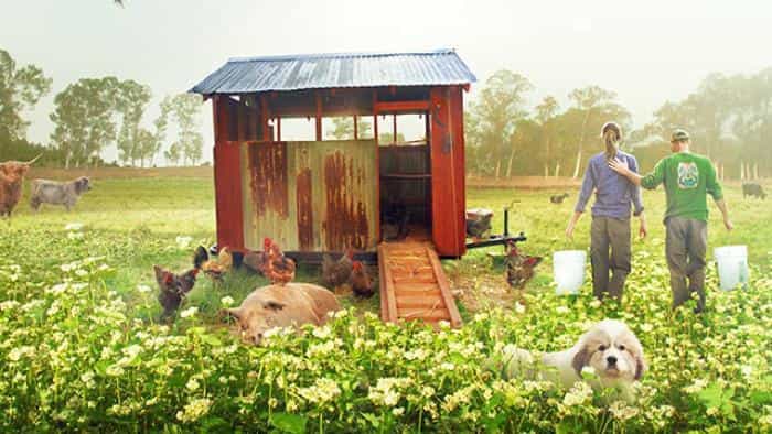 نقد و بررسی فیلم مزرعه کوچک بزرگ محصول سال 2018 | چی‌بینو