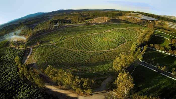 نقد و بررسی فیلم مزرعه کوچک بزرگ محصول سال 2018 | چی‌بینو