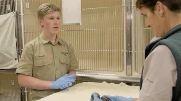 نقد و بررسی سریال عجب! اینها ایروین‌ها هستند. (2018)