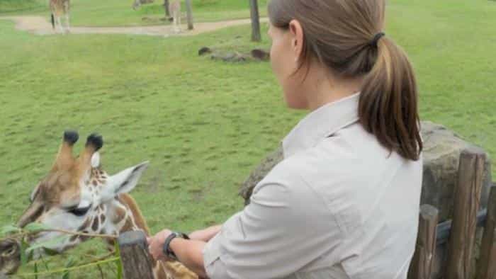 نقد و بررسی سریال عجب! اینها ایروین‌ها هستند. (2018)