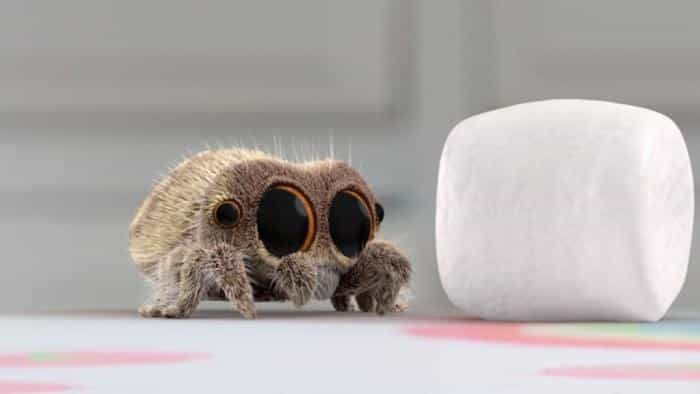 تماشای انیمیشن لوکاس عنکبوت محصول سال 2017 | چی‌بینو