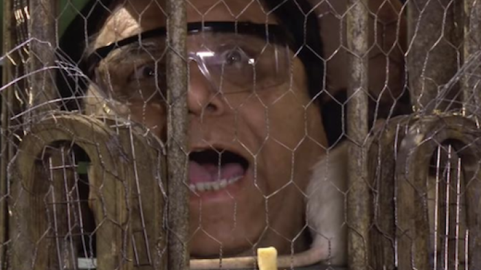 نقد و بررسی سریال لج‌بازی محصول سال 2019 | چی‌بینو