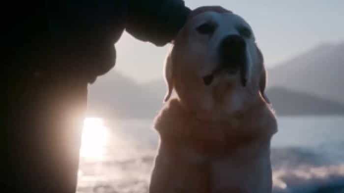 نقد و بررسی سریال سگ‌ها محصول سال 2018 | چی‌بینو