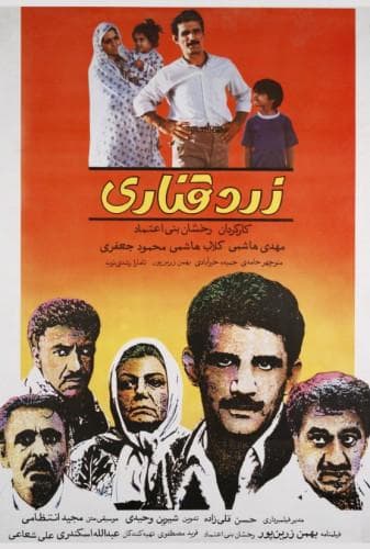 زرد قناری