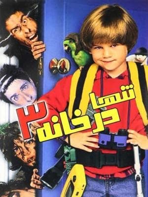تنها در خانه 3