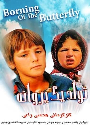 تولد پروانه