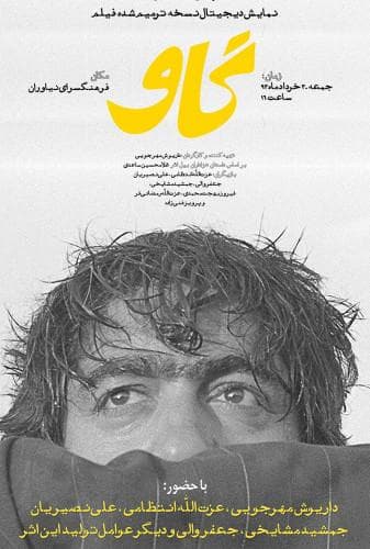 image گاو