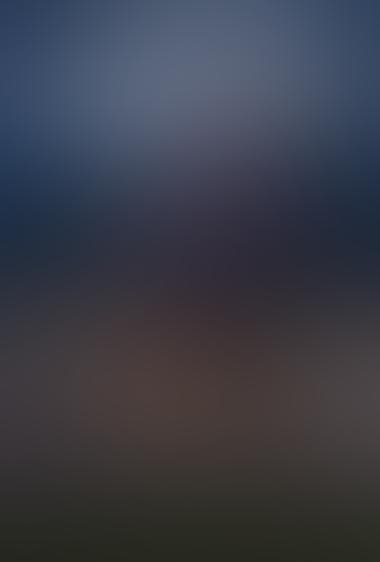 اشیاء ناشناس پرنده