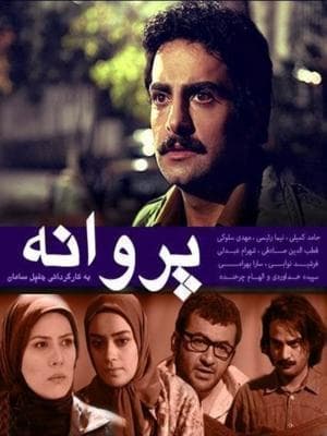 پروانه