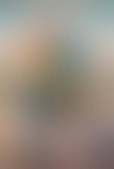 بوکسور و پروانه