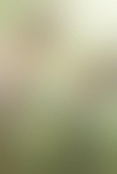 مهتاب نقاشی شده با ابر (عشق در مهتاب)