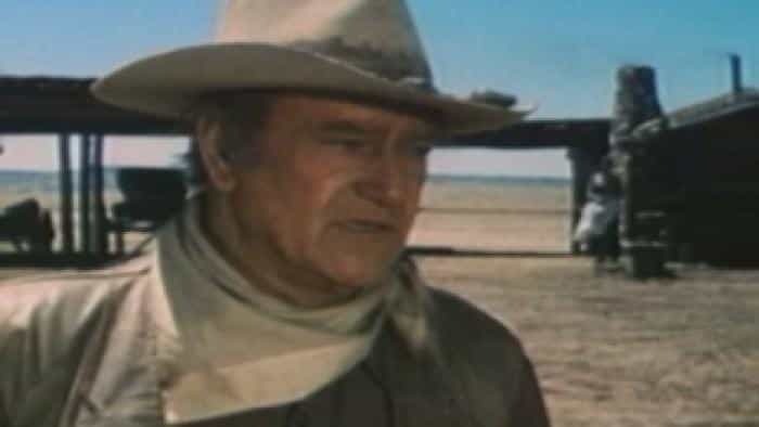 تماشای فیلم گاوچران ها محصول سال 1972 | چیبینو