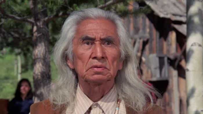 تماشای فیلم من و خرس ها محصول سال 1974 | چیبینو