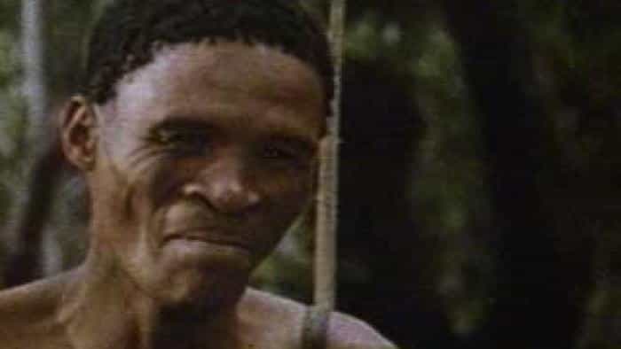 نقد و بررسی فیلم خدایان باید دیوانه باشند. (1980) | چیبینو