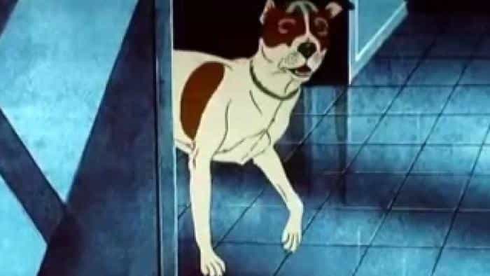 نقد و بررسی انیمیشن سگهای طاعونزده (1982) | چیبینو