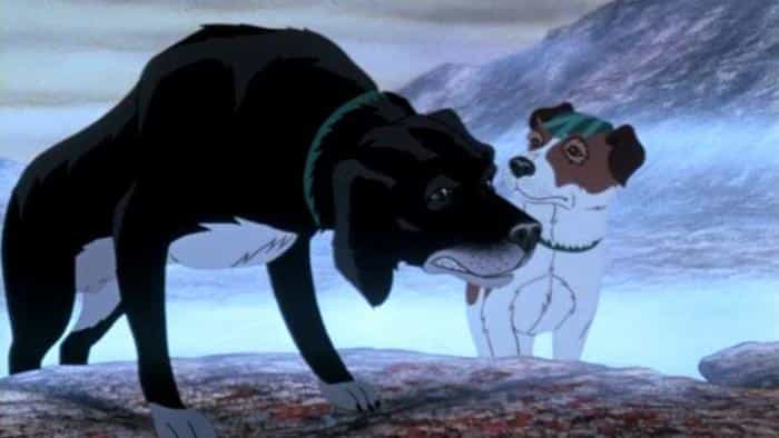 نقد و بررسی انیمیشن سگهای طاعونزده (1982) | چیبینو