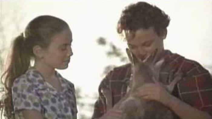 نقد و بررسی فیلم جویی محصول سال 1997 | چیبینو