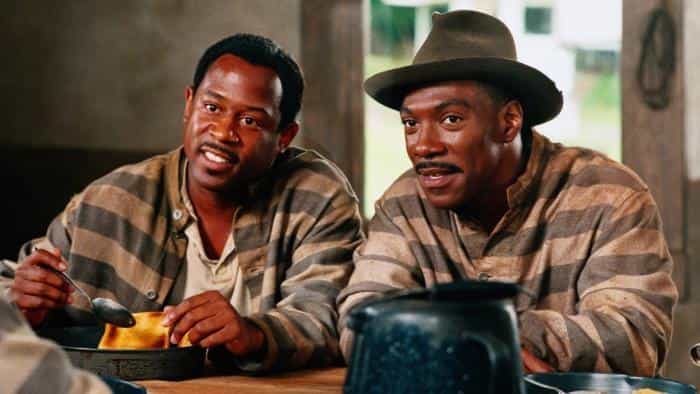 تماشای فیلم زندگی محصول سال 1999 | چیبینو