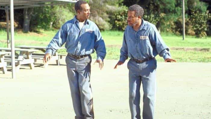 تماشای فیلم زندگی محصول سال 1999 | چیبینو