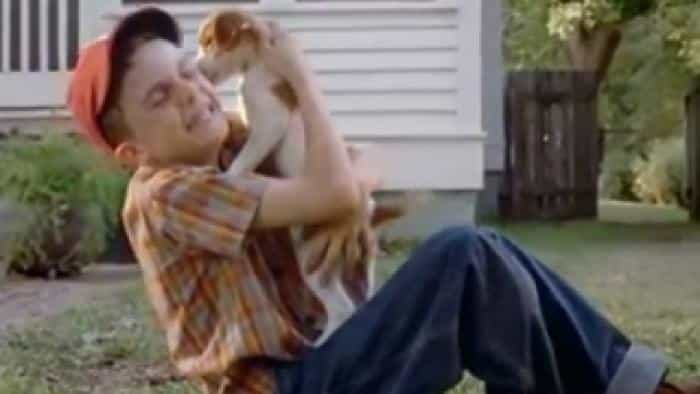 نقد و بررسی فیلم داستان سگ من، اسکیپ (2000) | چیبینو