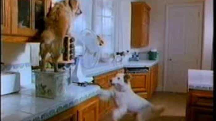 نقد و بررسی فیلم نجات در دسترس است محصول سال 1999 | چیبینو