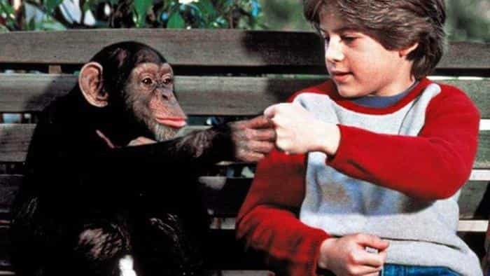 نقد و بررسی فیلم جنی پروژه محصول سال 2001 | چیبینو