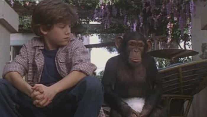 نقد و بررسی فیلم جنی پروژه محصول سال 2001 | چیبینو