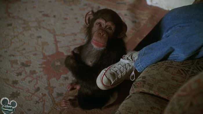 نقد و بررسی فیلم جنی پروژه محصول سال 2001 | چیبینو