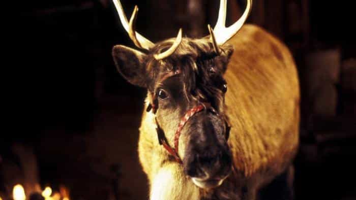 نقد و بررسی فیلم برفنود محصول سال 2003 | چیبینو