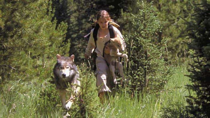 نقد و بررسی فیلم گرگ تابستان محصول سال 2003 | چیبینو