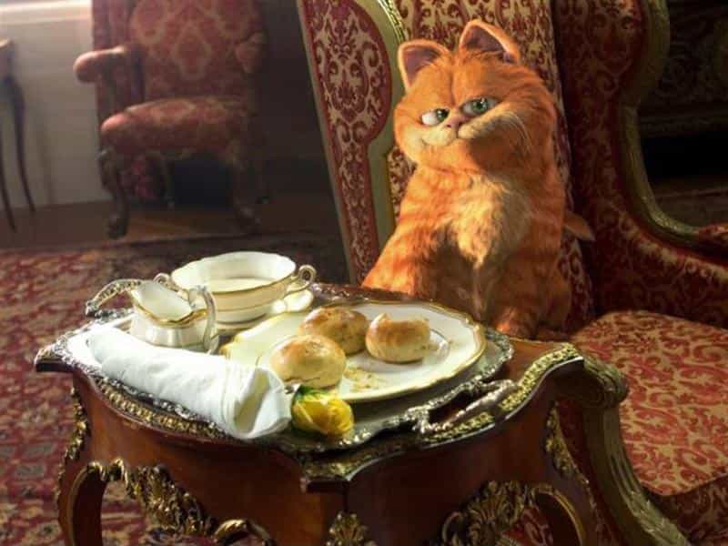 تماشای فیلم گارفیلد 2 - داستان دو گربه (2006) | چیبینو