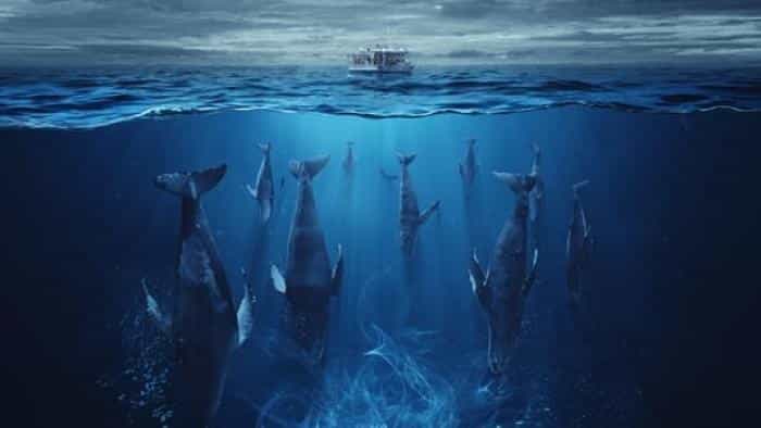 تماشای سریال هجوم محصول سال 2023 | چیبینو