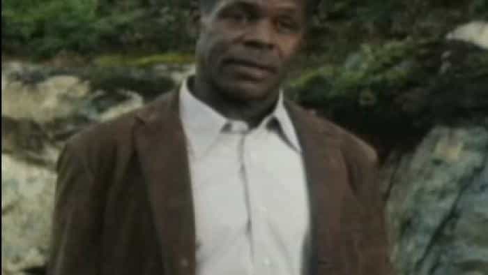 تماشای فیلم تیراندار محصول سال 2007 | چیبینو