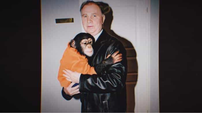 نقد و بررسی فیلم پنگوئنهای قرمز محصول سال 2019 | چیبینو