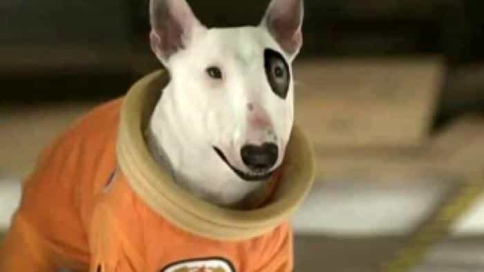 نقد و بررسی فیلم دوستان فضایی محصول سال 2009 | چیبینو