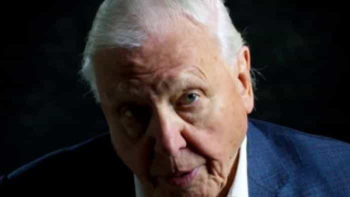 تماشای فیلم دیوید اتنبرو:زندگی در سیاره ما (2020) | چیبینو