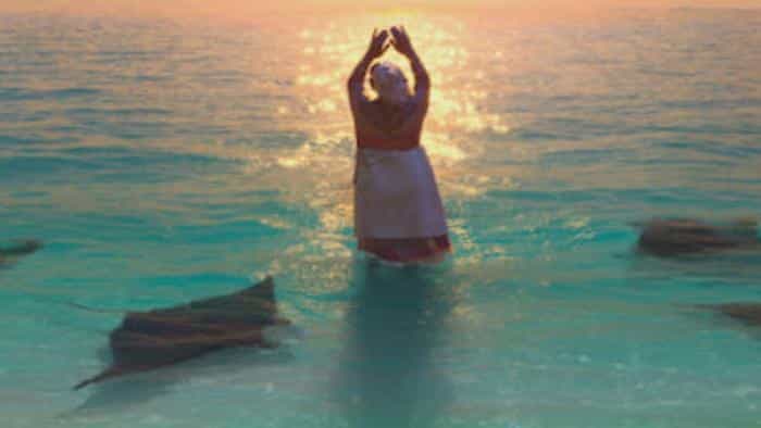 تماشای انیمیشن زنیمیشن محصول سال 2020 | چیبینو