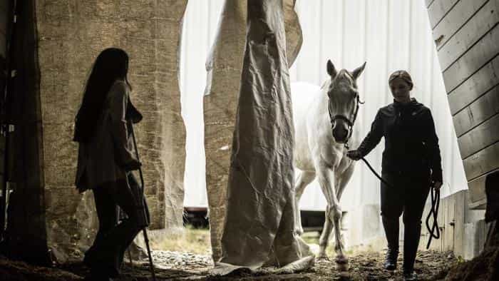 نقد و بررسی فیلم اگر میتوانستم سوار شوم (2022) | چیبینو