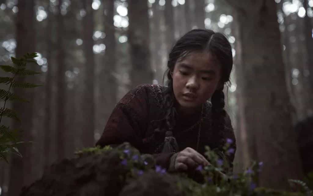 تماشای فیلم پادشاهی: آشین شمال محصول سال 2021 | چیبینو