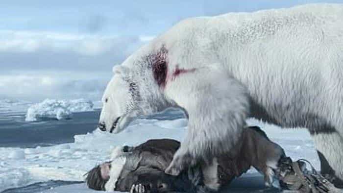 تماشای فیلم در برابر یخ محصول سال 2022 | چیبینو