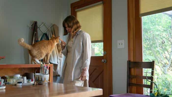 تماشای فیلم حضور یافتن محصول سال 2022 | چیبینو