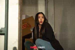 تماشای سریال جزیره محصول سال 2022 | چیبینو