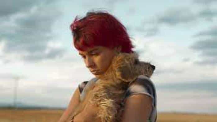 نقد و بررسی فیلم طیف رنگین کمان محصول سال 2022 | چیبینو