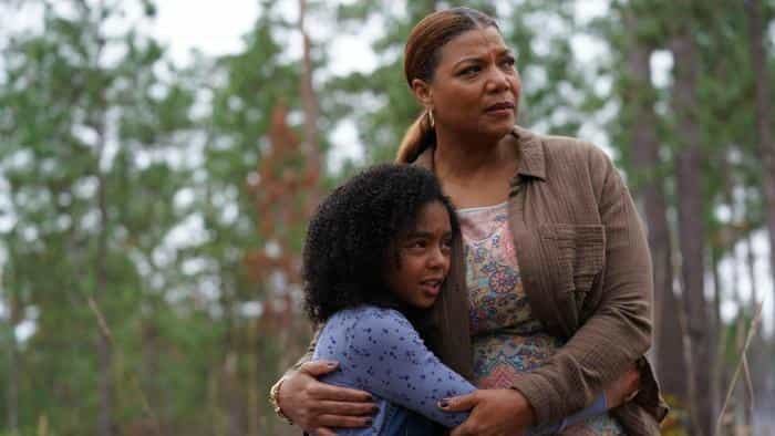 تماشای فیلم ببر برمی خیزد محصول سال 2022 | چیبینو