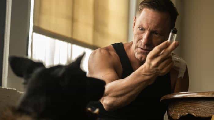 تماشای فیلم پوزه بند محصول سال 2023 | چیبینو