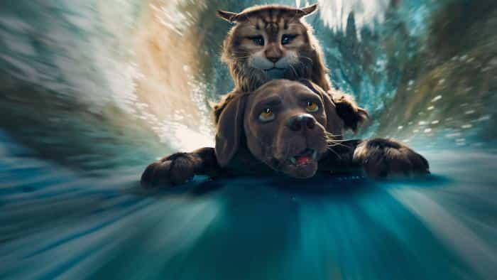 تماشای انیمیشن گربه و سگ محصول سال 2024 | چیبینو